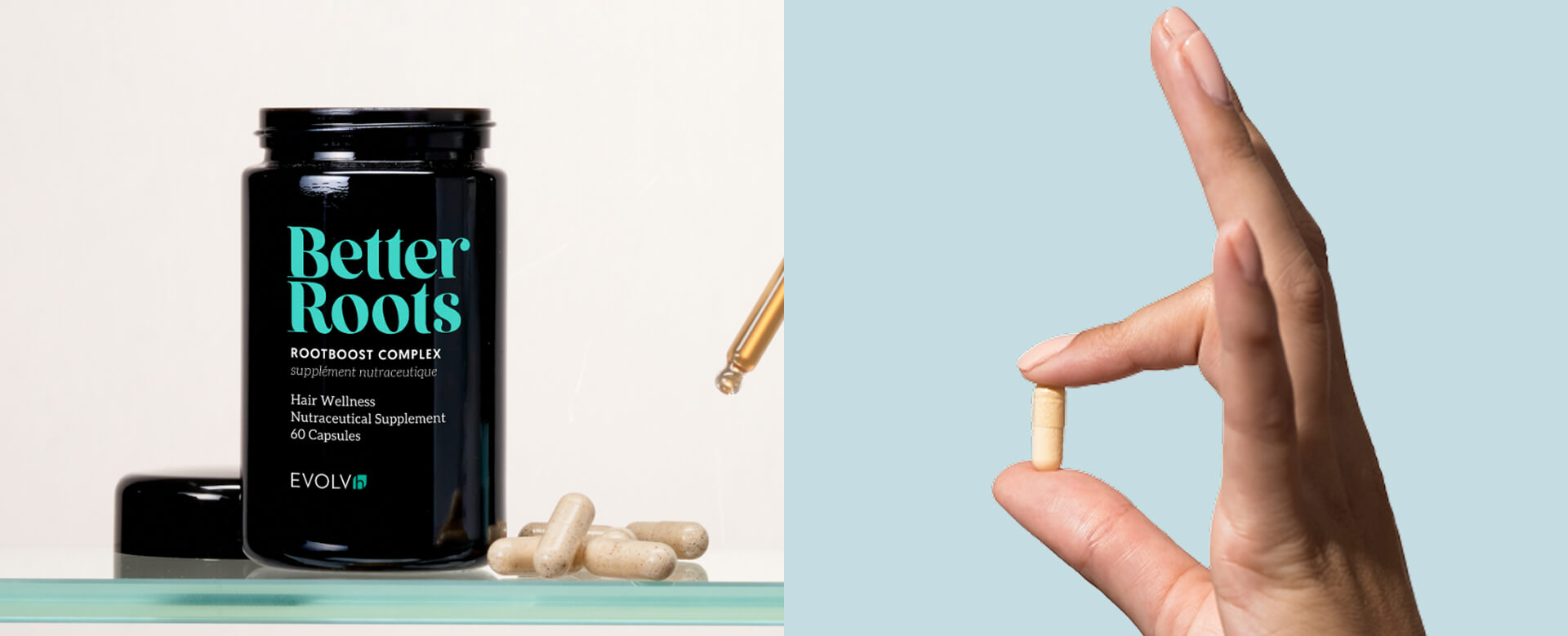 Supplement