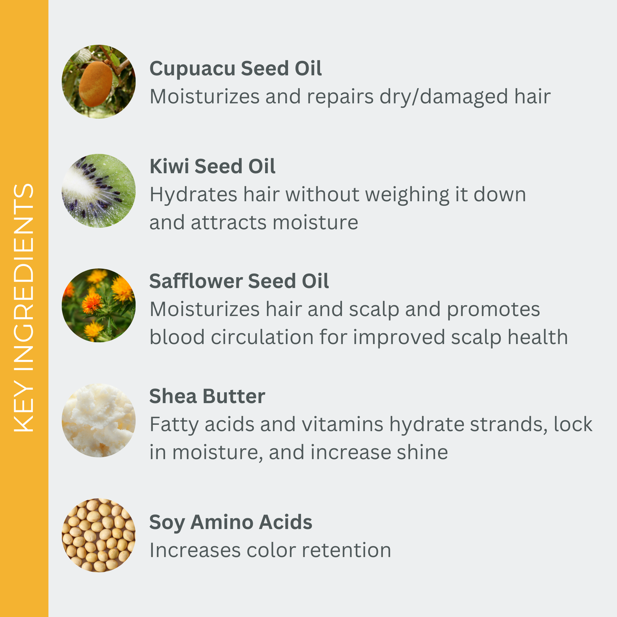 SmartColor Shampoo & Conditioner Liter Duo