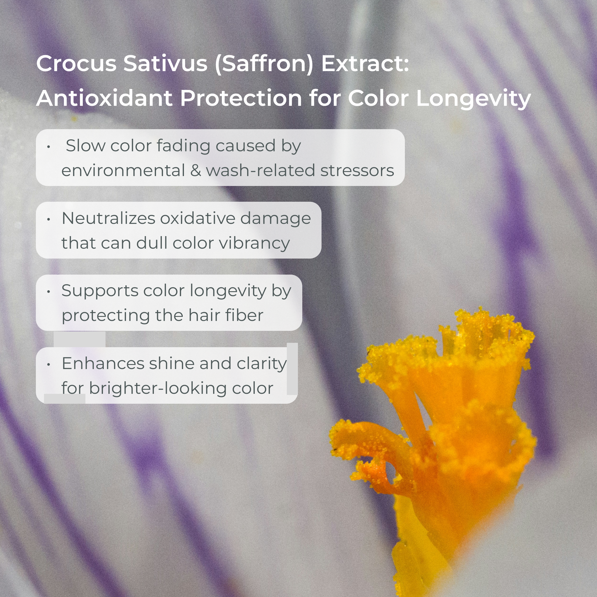 SmartColor Protecting Shampoo