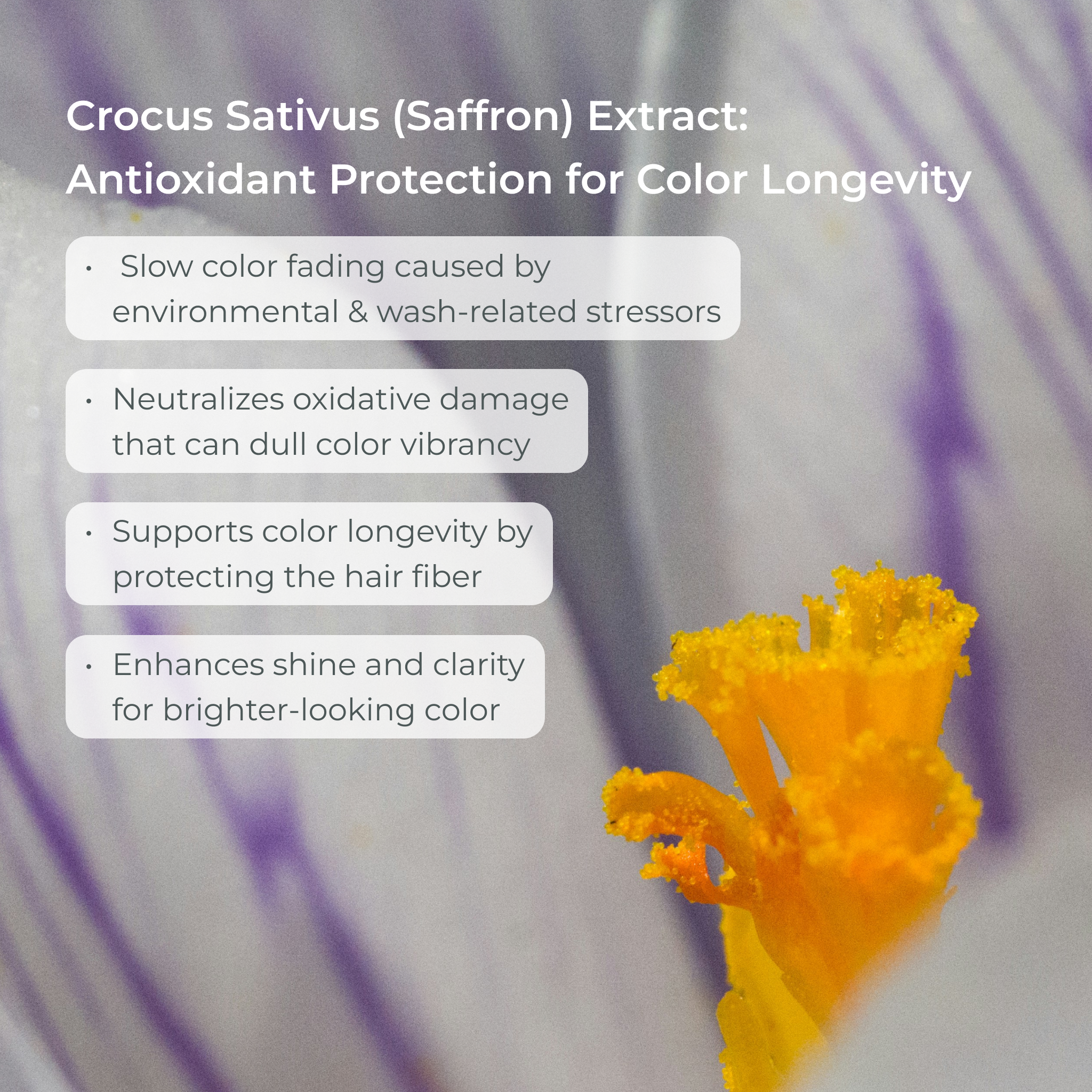 SmartColor Protecting Shampoo