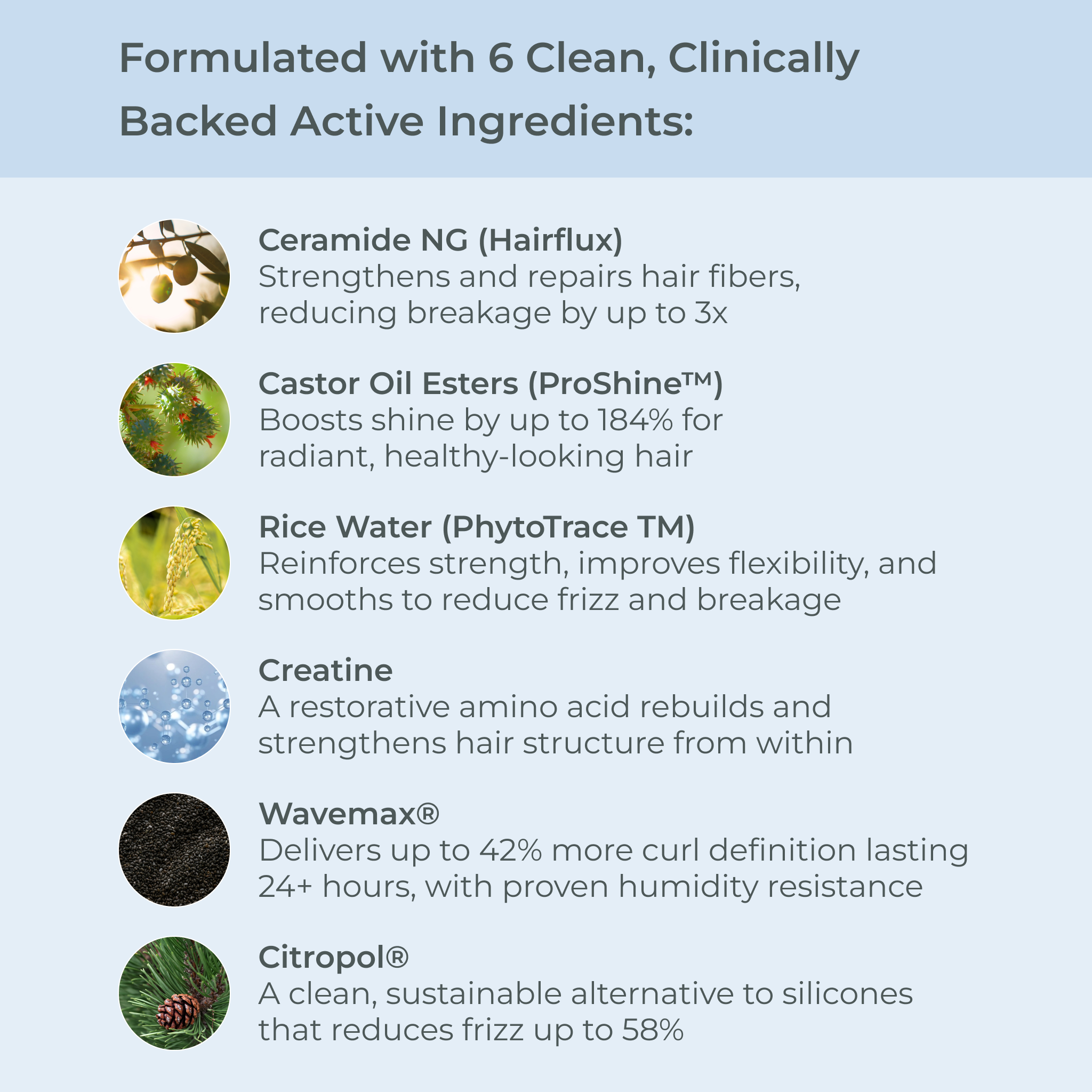 SmartCurl Boost & Define Shampoo and Conditioner Liter Duo