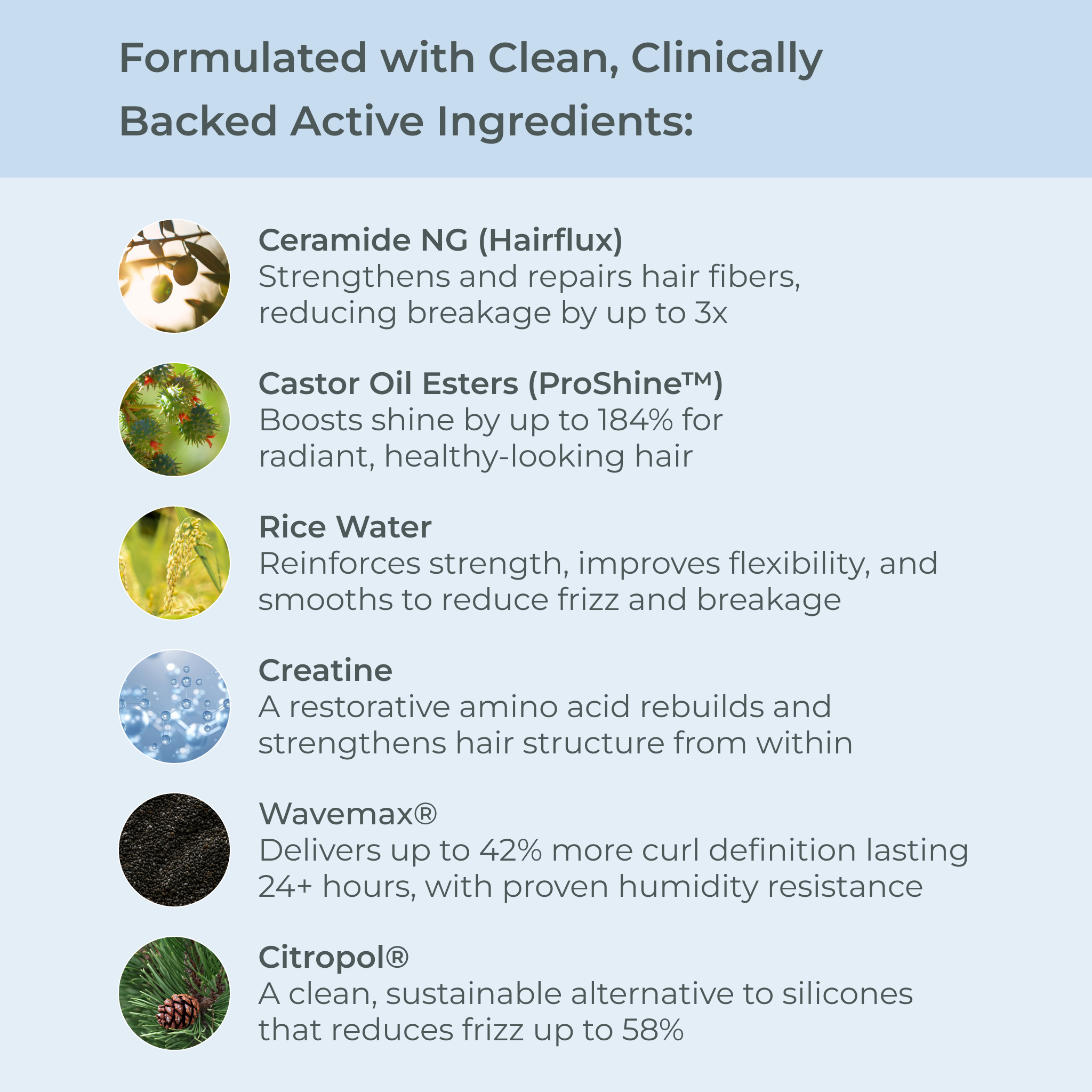 NEW! SmartCurl Boost & Define Shampoo and Conditioner Liter Duo