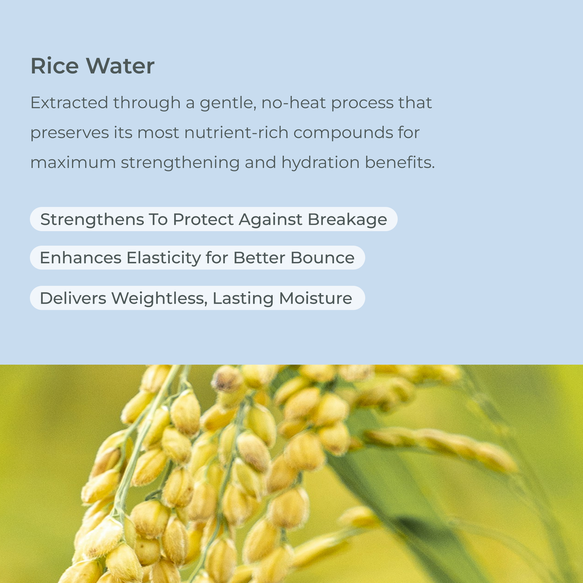 NEW! SmartCurl Boost & Define Shampoo and Conditioner Liter Duo